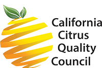 CCQC-Globe-logo-web